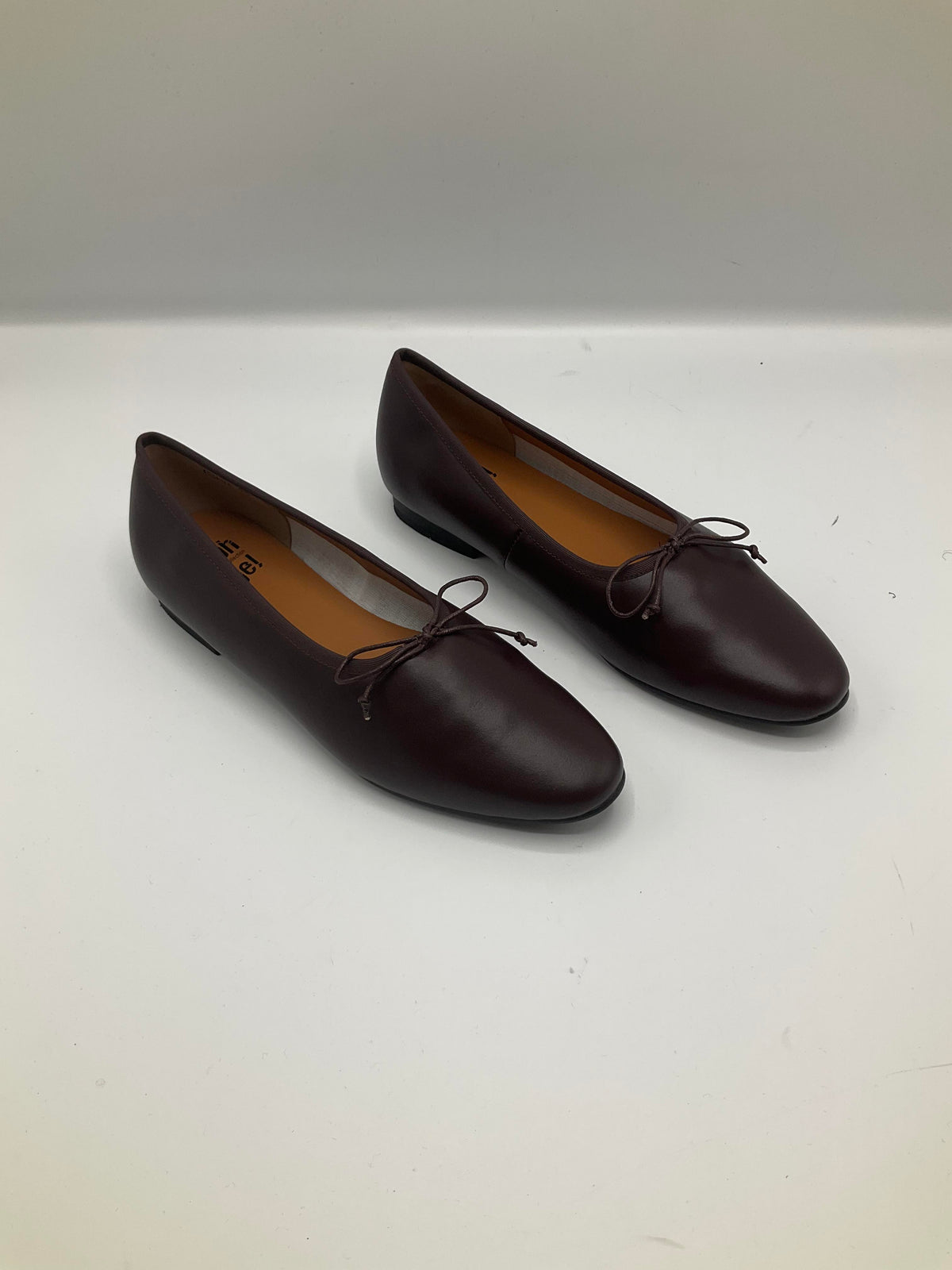 CHAVA-AW26